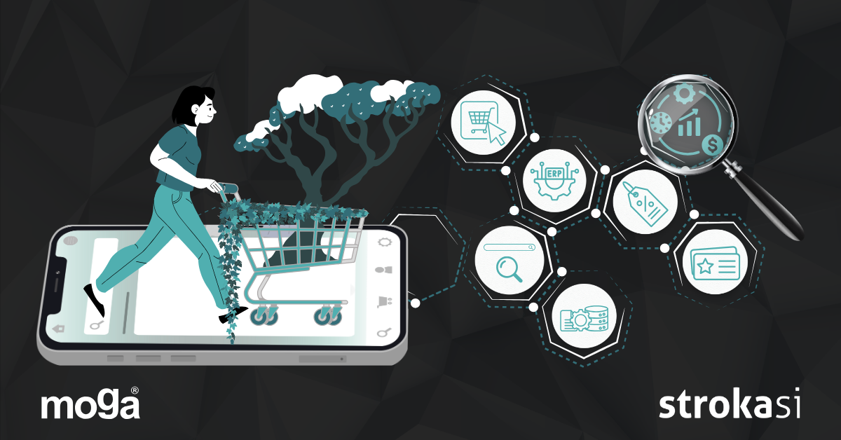 Preobrazba specializiranega znanja o rastlinah v digitalno odličnost: pot vrtnega centra MOGA v napredno e-poslovanje