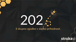 Kaj imata skupnega čebelji panj in kibernetska varnost?...