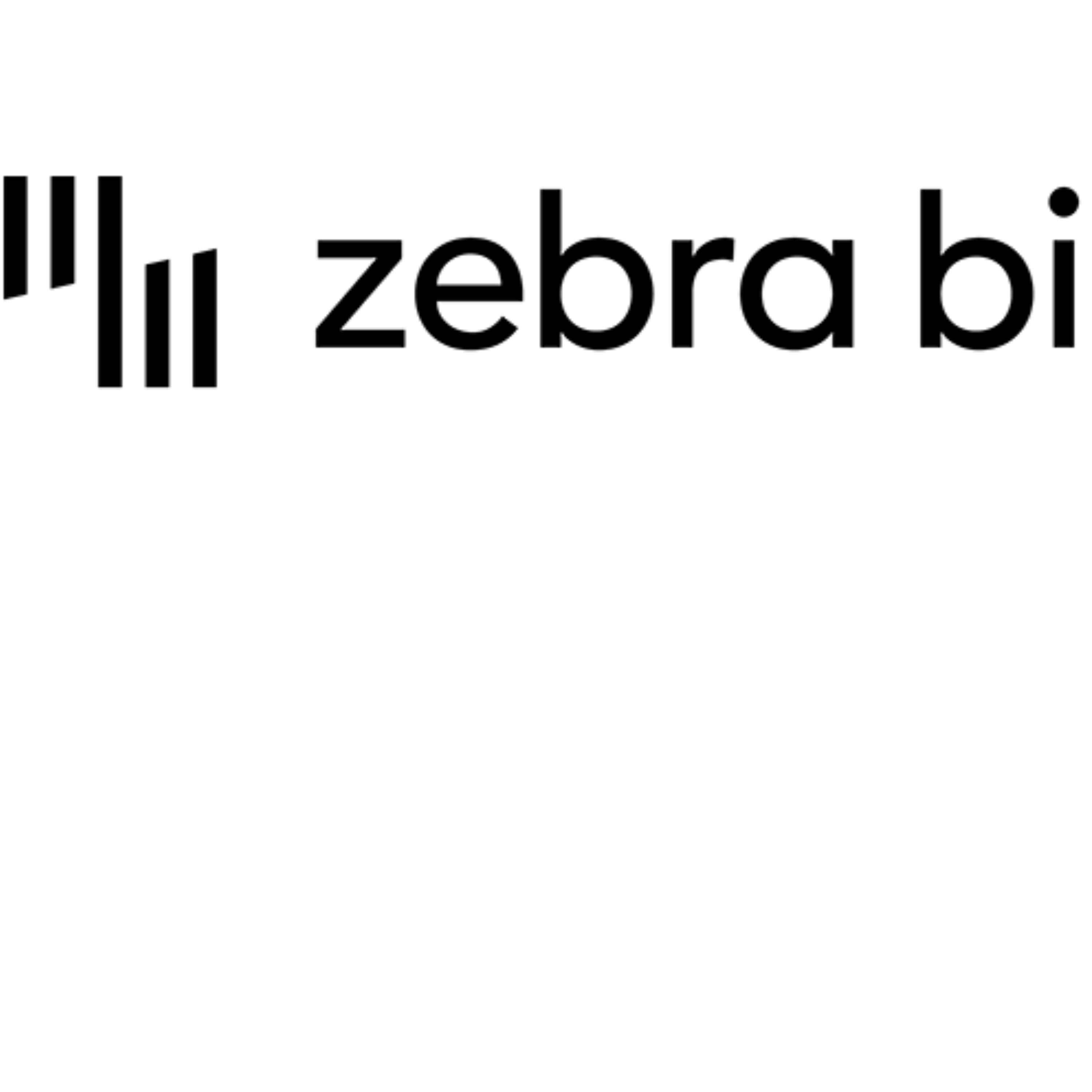Zebra BI