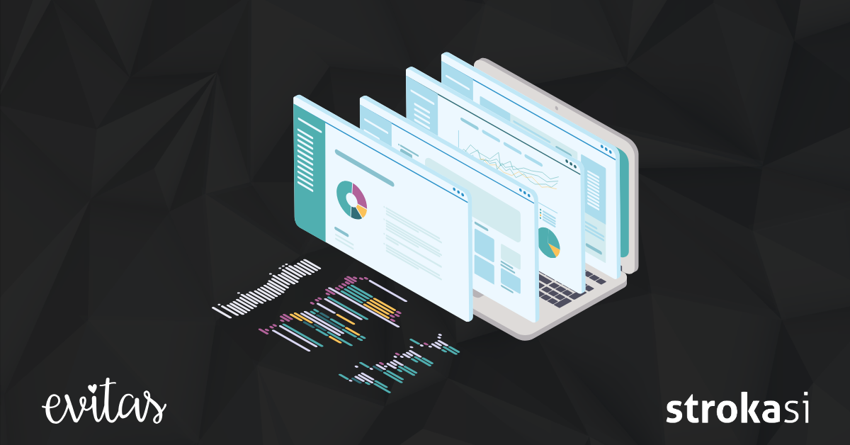 From Data to Decision Power: How Power BI Enabled Evitas to Make a Strategic Leap